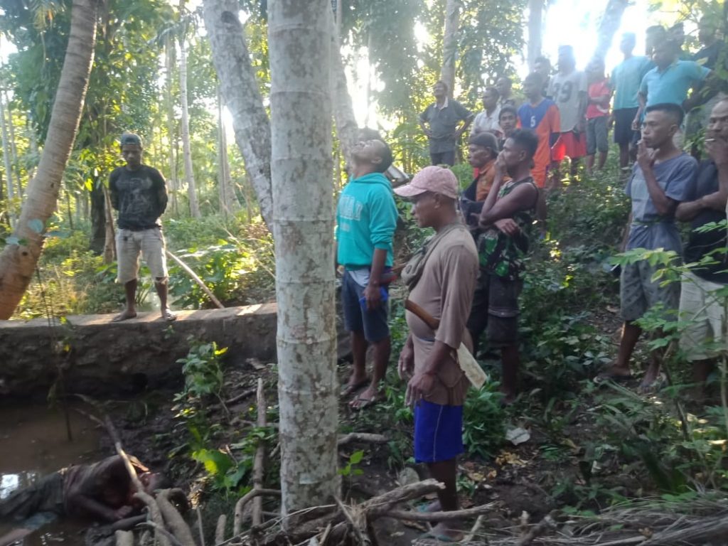 SADIS! Kedapatan Curi Kelapa, Pelaku Malah Bacok Pemilik Kebun Hingga Tewas