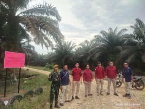 Kejagung Gempur Korupsi Sawit, Sita 3.700 Hektare Aset Duta Palma di Riau