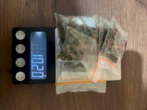 MIRIS! Pelajar Tertangkap Bawa Ganja di Larantuka, Positif Narkoba